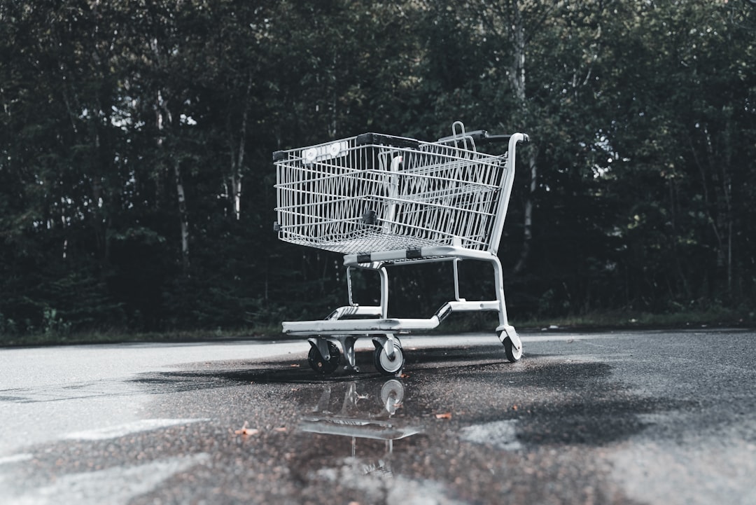 Photo Grocery shopping cart