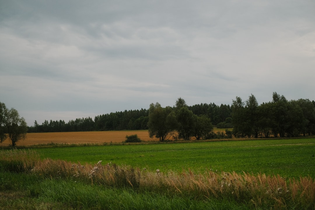 Photo prisfald