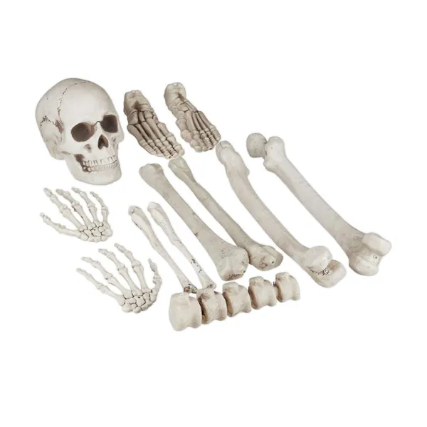 Halloween skelet dekorationssæt – 12 uhyggelige knogler