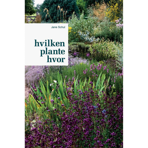 Hvilken plante hvor – Indbundet fra 9788740017939