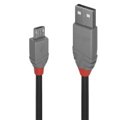 Lindy 0,5M Usb 2.0 Type A To
